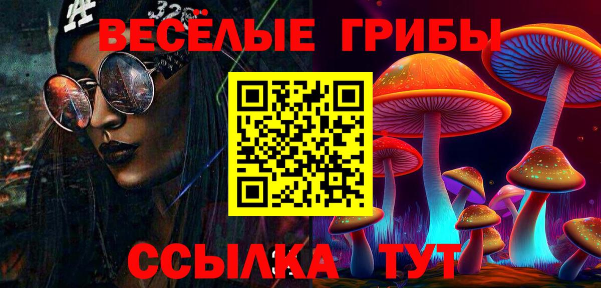 Галлюциногенные грибы Psilocybine cubensis Электрогорск