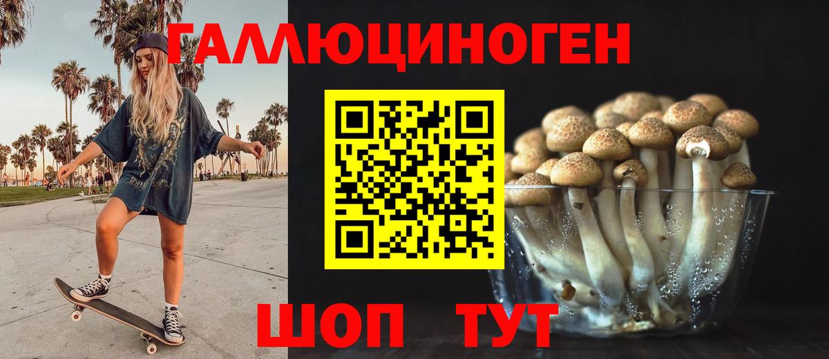 Галлюциногенные грибы прущие грибы  Вход с VPN  как найти закладки  Электрогорск 